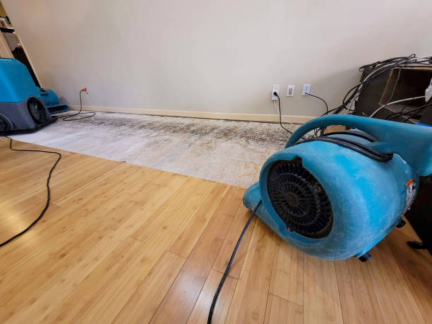 Professional Water Damage Repair technician working in Goodland, FL